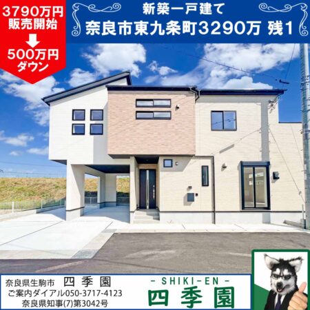奈良市東九条町、建て売り新築一戸建て